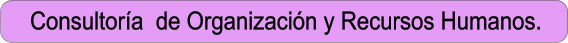 Consultora  de Organizacin y Recursos Humanos.